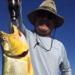 Arraial do Cabo mostra por que é o Caribe brasileiro na visão de Leonardo Rocha de almeida.
