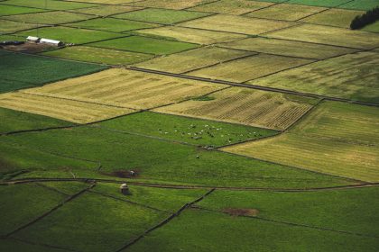 Vista aérea de campos agrícolas em mosaico, com vacas pastando entre as áreas cultivadas.